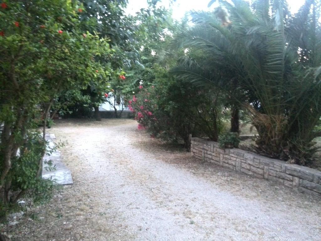 Apartment Tome Biograd Na Moru Pokój zdjęcie