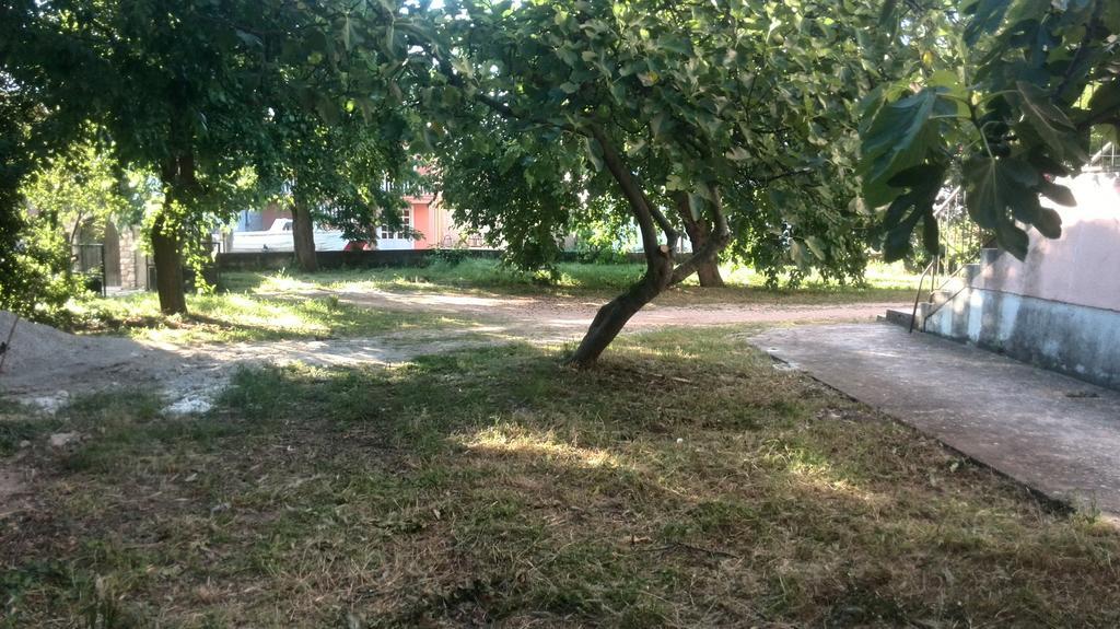 Apartment Tome Biograd Na Moru Zewnętrze zdjęcie
