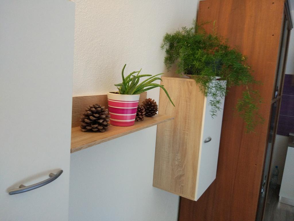 Apartment Tome Biograd Na Moru Zewnętrze zdjęcie