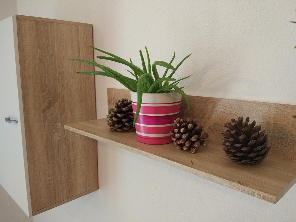 Apartment Tome Biograd Na Moru Zewnętrze zdjęcie